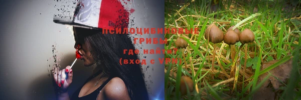 шишки Абинск