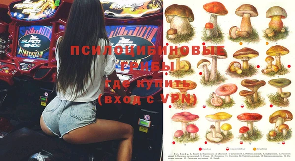 шишки Абинск