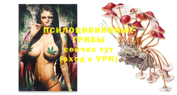 а пвп мука Алексеевка