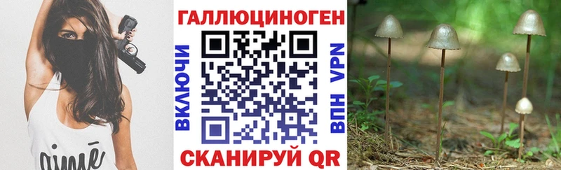 купить наркотик Устюжна Галлюциногенные грибы прущие грибы