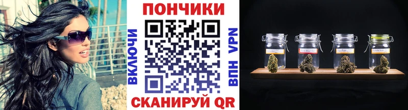 Канабис семена  Устюжна 
