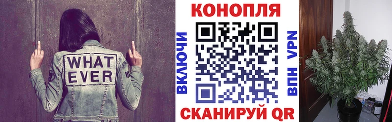 Бошки Шишки White Widow Устюжна